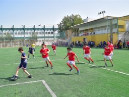 MIS Sports